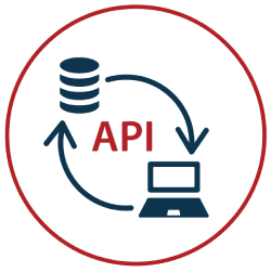 Flexible API Access